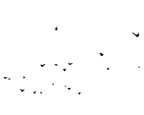 Giphy 1.gif