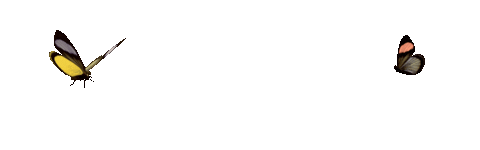 Giphy 1.gif